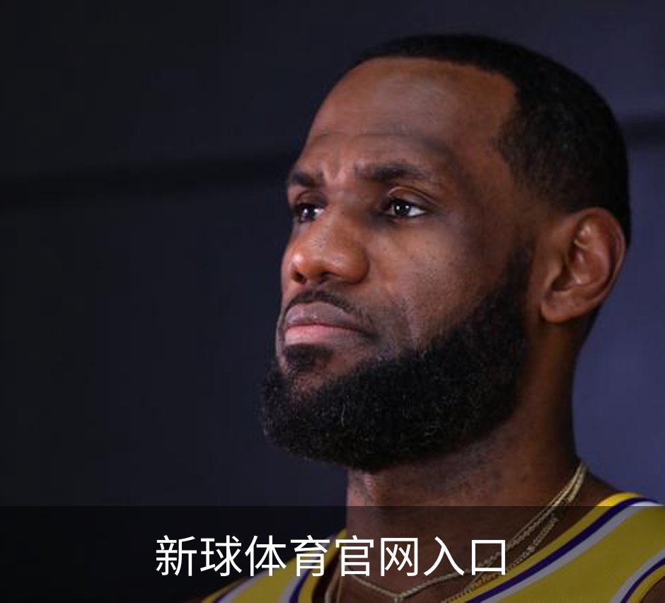 新球体育官网入口概况